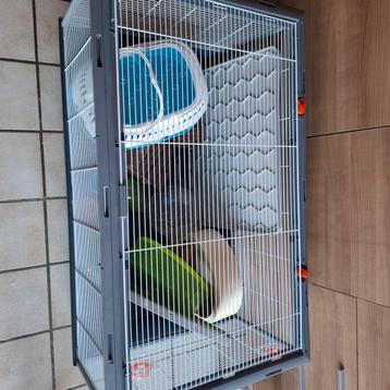 Hamsterkooi met toebehoren  beschikbaar voor biedingen