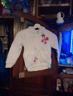Vesten voor meisjes van 6 jaar met dora-tag, Kinderen en Baby's, Kinderkleding | Maat 92, Ophalen of Verzenden, Gebruikt, Meisje