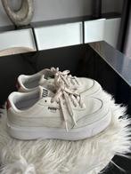 Basket puma taille 38 excellent état, Sport en Fitness, Basketbal, Ophalen of Verzenden, Zo goed als nieuw, Schoenen
