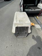 Cage pour transport animaux, Comme neuf