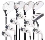 Volledige set golfclubs Skymax IX-5 dames – Rechtshandig, Ophalen, Gebruikt, Set, Overige merken