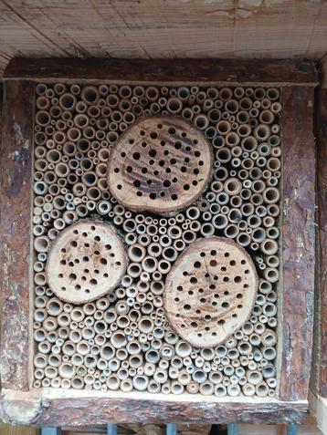 Bijenhotel / bijenschijf / insectenhotel (eik) beschikbaar voor biedingen