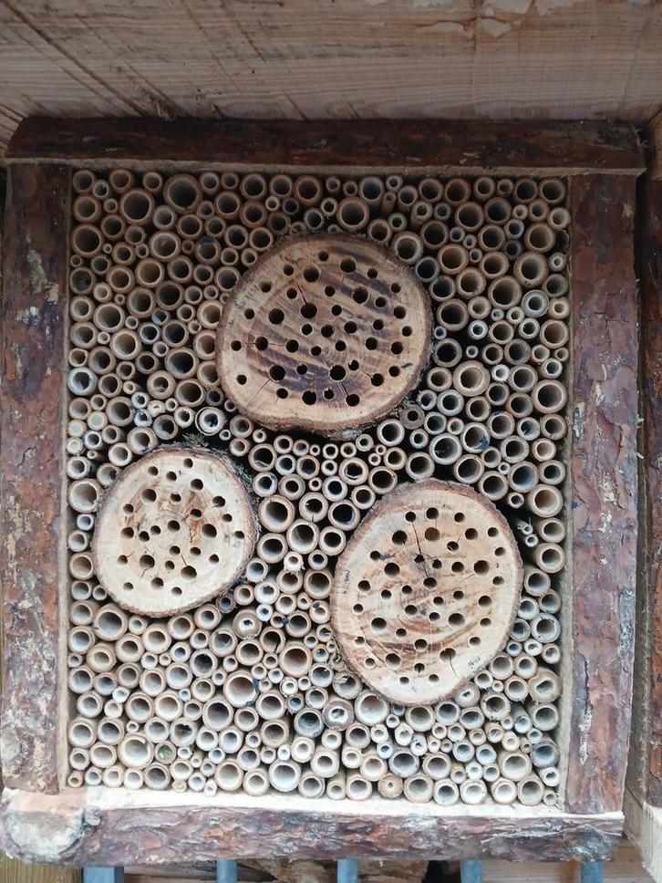 Bijenhotel / bijenschijf / insectenhotel (eik), Tuin en Terras, Tuinwanddecoratie, Nieuw, Ophalen