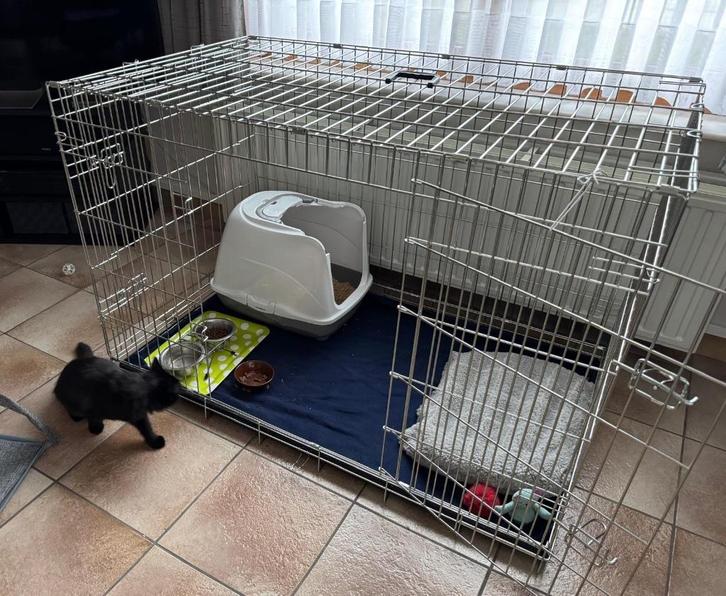 Bench XXL te koop, Dieren en Toebehoren, Hondenhokken, Zo goed als nieuw, Hondenkennel, Ophalen