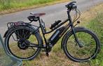 Santos Travel Lite + met Neodrives motor en Pinion, Ophalen, Zo goed als nieuw