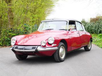 Citroën DS DS21 Manueel servo, Rouge, Achat, Entreprise, Citroën
