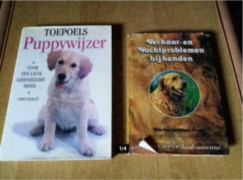 13 boeken over honden , ook leerrijke , 1-3€/boek 10€/lot, Livres, Animaux & Animaux domestiques, Utilisé, Chiens, Enlèvement ou Envoi