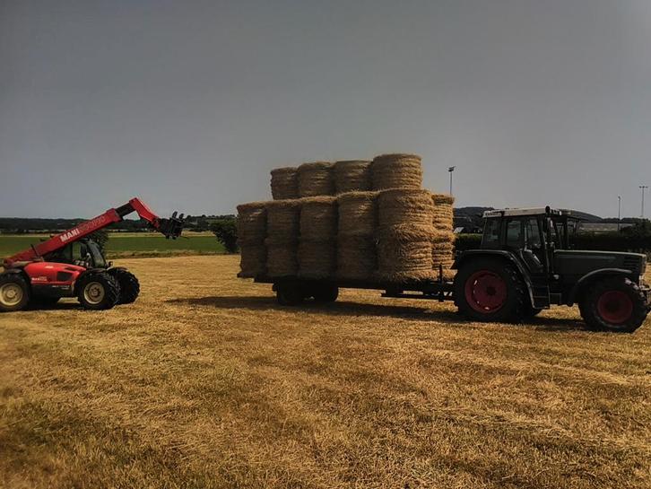 Boules de foin 2025, Zakelijke goederen, Landbouw | Veevoer, Ophalen