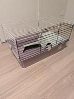 Knaagdieren kooi 60cm x 40cm, Dieren en Toebehoren, Ophalen, Kooi