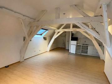 Appartement te huur in Leuven beschikbaar voor biedingen