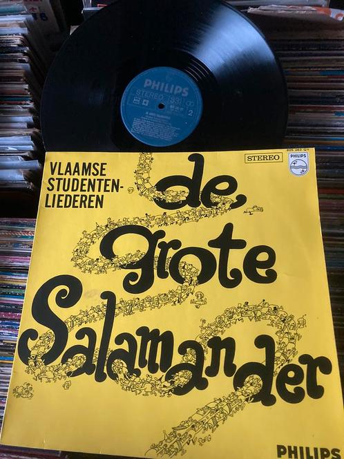 De Grote Salamander/ Studentenliederen, Cd's en Dvd's, Vinyl | Nederlandstalig, Zo goed als nieuw, Ophalen of Verzenden