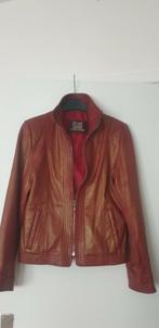 CLASS veste véritable cuir, Kleding | Dames, Jassen | Zomer, Ophalen, Nieuw