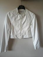 Prachtig communie jasje van Miss Leod, Kleding | Dames, Ophalen, Zo goed als nieuw, Jasje