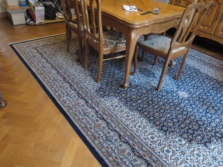 Tapijt met certificaat van oorsprong, Maison & Meubles, Ameublement | Tapis & Moquettes, Comme neuf, 200 cm ou plus, 200 cm ou plus