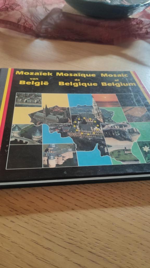 Mozaïek van België. Mosaïque de Belgique., Boeken, Kunst en Cultuur | Architectuur, Zo goed als nieuw, Ophalen of Verzenden