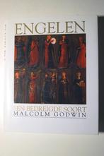 Engelen, een bedreigde Soort - Malcolm Godwin, Neuf, Malcolm Godwin, Christianisme | Catholique, Enlèvement ou Envoi