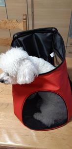 Sac à dos pour chien, Animaux & Accessoires, Accessoires pour chiens, Enlèvement ou Envoi