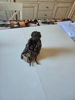 Kunstwerk, Antiek en Kunst, Ophalen