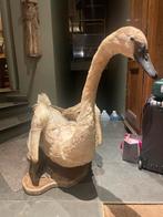 Cygne taxidermie, Enlèvement, Utilisé, Oiseaux, Animal empaillé