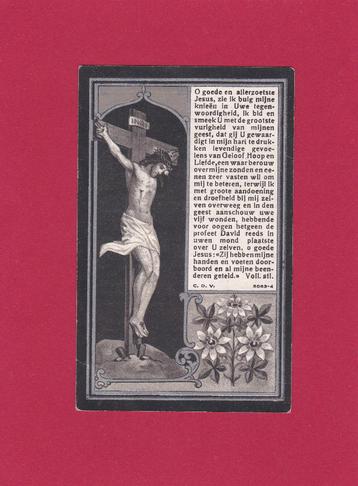 DP Maria Katherina Buelens beschikbaar voor biedingen