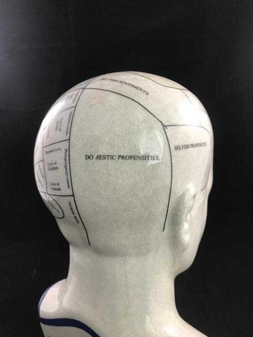 phrenology , hoofd, Maison & Meubles, Accessoires pour la Maison | Autre, Neuf, Enlèvement ou Envoi