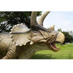 Giant Triceratops – Dinosaurus beeld Lengte 623 cm, Ophalen, Nieuw
