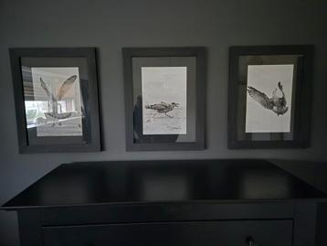 Mooi set van 3 kaders met eigen foto's van Meeuwen - uniek beschikbaar voor biedingen
