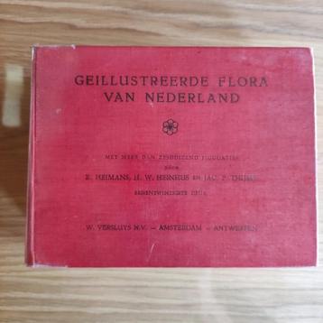 Geïllustreerde flora van Nederland beschikbaar voor biedingen