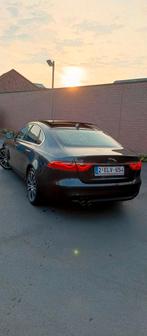 Jaguar XF sportif, Autos, Jaguar, Achat, Euro 6, Entreprise, XF