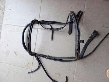 Hoofdstel beschikbaar voor biedingen