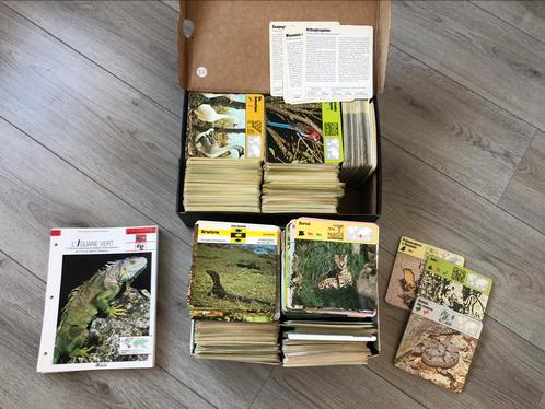 Fiches éducatives animaux • flore • Atlas • encyclopédie, Boeken, Encyclopedieën, Zo goed als nieuw, Dieren, Ophalen