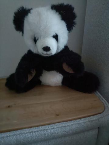 Plunche panda beer beschikbaar voor biedingen