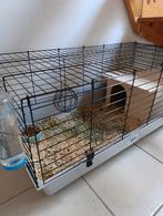 À vendre, Enlèvement ou Envoi, Cage, Cobaye