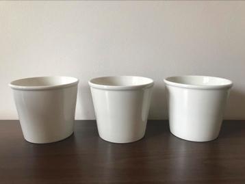 Drie identieke witte bloempotjes  beschikbaar voor biedingen
