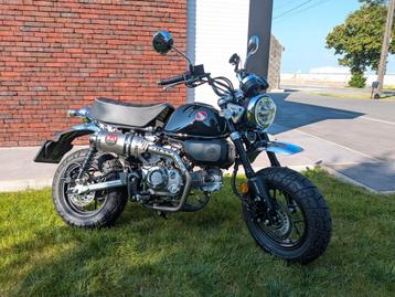 Honda Monkey 125 - 04/2025 - 903km - Yoshimura RS-3 beschikbaar voor biedingen