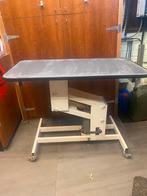 Trimtafel Hydraulisch op wieltjes, Doe-het-zelf en Bouw, Werkbanken, Ophalen, Gebruikt, Minder dan 70 cm