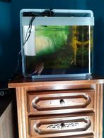 Aquarium te koop, Dieren en Toebehoren, Vissen | Aquaria en Toebehoren, Ophalen, Gebruikt