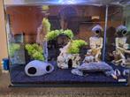 Aquarium, Dieren en Toebehoren, Ophalen, Zo goed als nieuw
