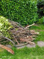 Bois à donner, Jardin & Terrasse, Enlèvement