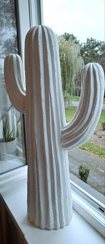 Cactus décoration d'intérieur 77x42x20 à saisir ↙️ beschikbaar voor biedingen