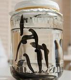 Medische bloedzuigers Hirudo verbana, Diversen, Ophalen of Verzenden