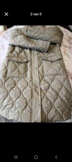 Dames jas, Enlèvement ou Envoi, Neuf, Taille 38/40 (M)