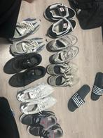 6 paire de chaussures a vendre le tous pour 180, Enlèvement, Utilisé