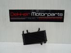 OIie Koeler / Oliekoeler Aprilia RST1000 Futura 2001-2002 >, Motoren, Ophalen of Verzenden, Gebruikt