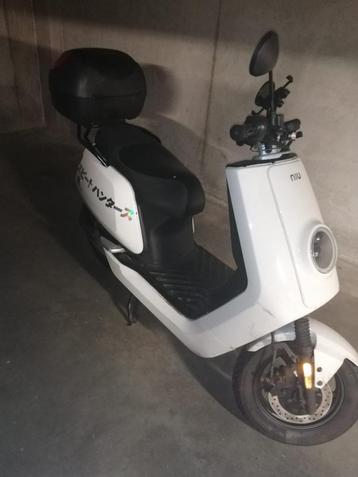 NIU SPORT NQUI, Elektrisch, Ophalen of Verzenden, NIU, 50 cc