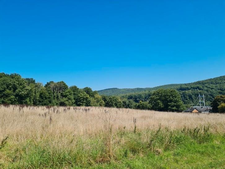 5540 AGIMONT — Hastière: land van +- 55 are., Immo, Gronden en Bouwgronden, 1500 m² of meer