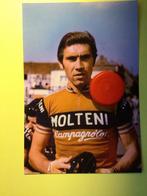 wielerfoto 1975 team molteni eddy merckx, Verzenden, Zo goed als nieuw