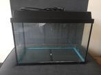 Aquarium Juwel br 60 cm, Dieren en Toebehoren, Ophalen, Gebruikt, Leeg aquarium