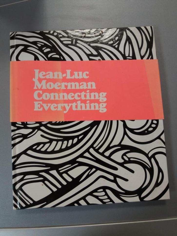 Jean-Luc Moerman: Alles met elkaar verbinden, Boeken, Kunst en Cultuur | Beeldend, Zo goed als nieuw, Schilder- en Tekenkunst