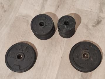Domyos Halterschijven 28 MM beschikbaar voor biedingen